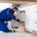 The Benefits of Pest Control